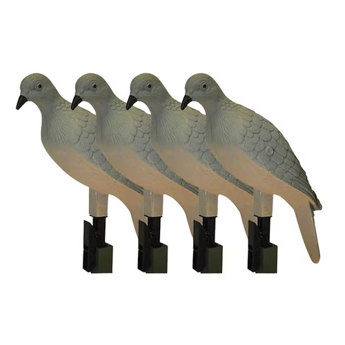 Mojo dove - dove,