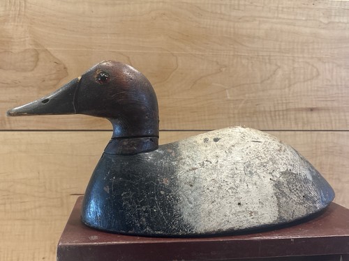 Antique canvasback drake - antique,
